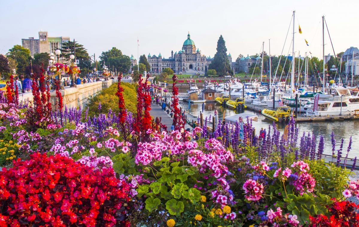 flowers, boats and an old boat