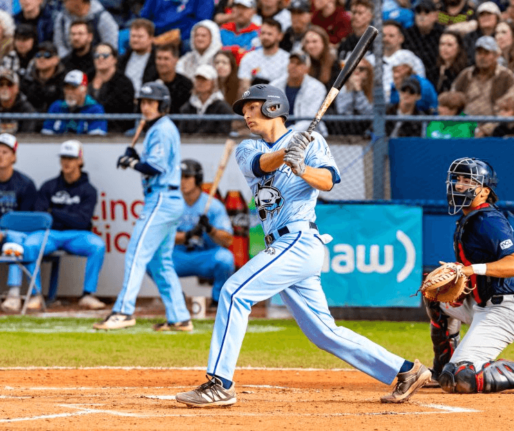 harbourcats player at bat