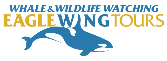 eagle wing tours logo