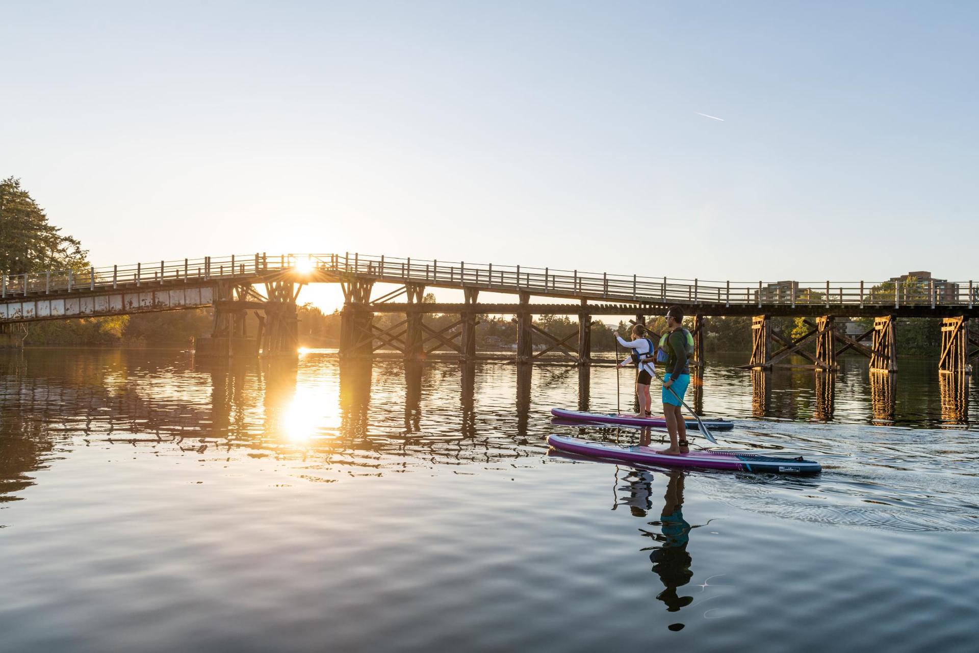 A pair of paddleboarders explore Victoria's Upper Harbour